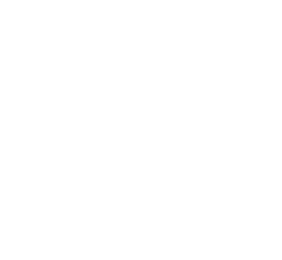 Pet Buddy