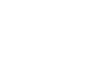 VB20